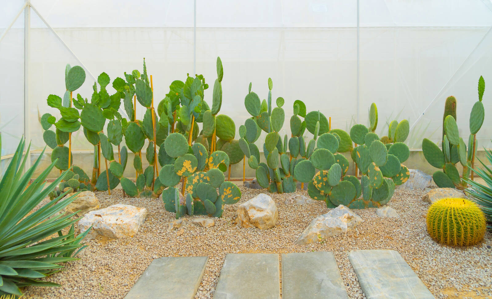 Travertine paver driveway