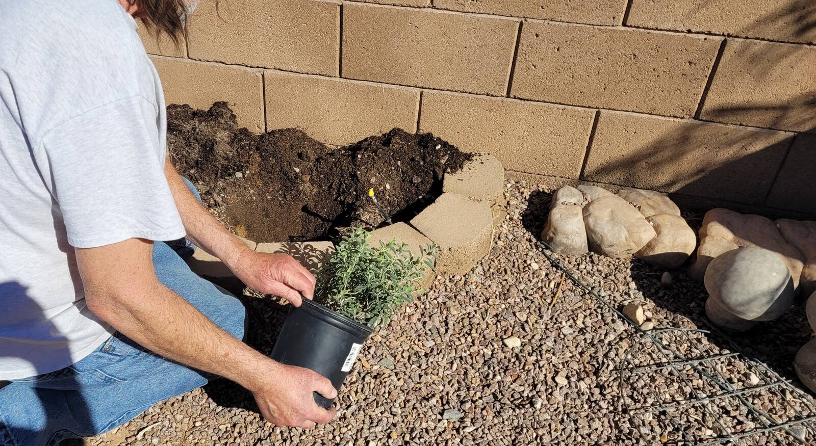 Drip irrigation system installation